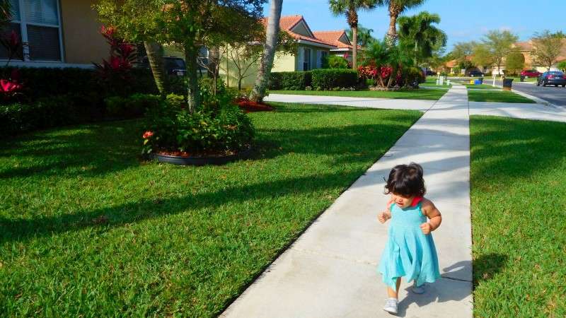 <center>Florida 2018 (28)</center>